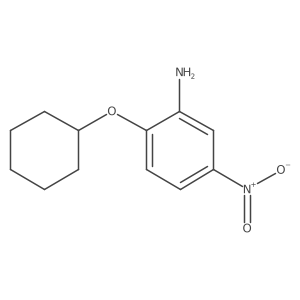 2-(Cyclohexyloxy)-5-nitrobenzenamine结构式
