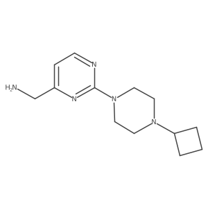 2436562-00-2 structure