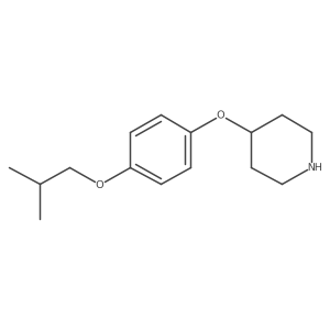 4-[4-(2-Methylpropoxy)phenoxy]piperidine Structure