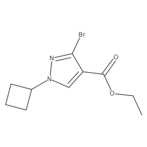 ethyl 3-bromo-1-cyclobutyl-1H-pyrazole-4-carboxylate结构式