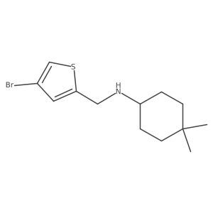 4-bromo-N-(4,4-dimethylcyclohexyl)-2-Thiophenemethanamine Structure