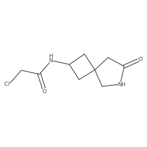 2-Chloro-N-(7-oxo-6-azaspiro[3.4]octan-2-yl)acetamide结构式