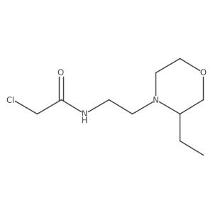 2-chloro-N-[2-(3-ethylmorpholin-4-yl)ethyl]acetamide Structure