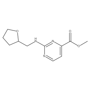 2445733-55-9 structure