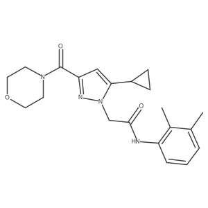 2-(5-cyclopropyl-3-(morpholine-4-carbonyl)-1H-pyrazol-1-yl)-N-(2,3-dimethylphenyl)acetamide结构式