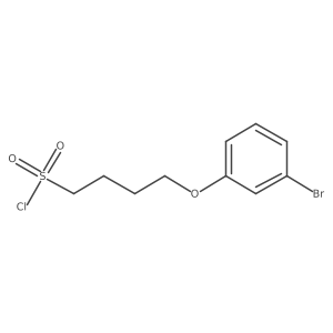 4-(3-Bromophenoxy)butane-1-sulfonyl chloride结构式