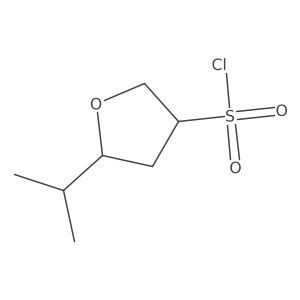5-(Propan-2-yl)oxolane-3-sulfonyl chloride Structure
