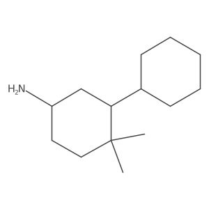 3-Cyclohexyl-4,4-dimethylcyclohexan-1-amine结构式
