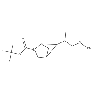 tert-butyl (1S,4R)-5-[1-(aminooxy)propan-2-yl]-2-azabicyclo[2.1.1]hexane-2-carboxylate结构式