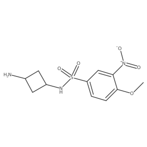 N-(3-aminocyclobutyl)-4-methoxy-3-nitrobenzenesulfonamide结构式
