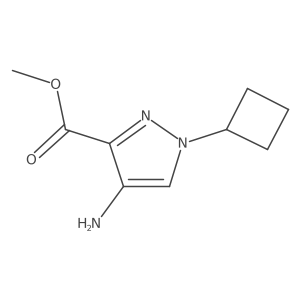 methyl 4-amino-1-cyclobutyl-1H-pyrazole-3-carboxylate Structure