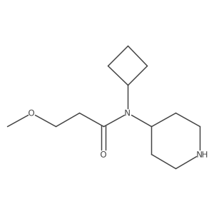 N-cyclobutyl-3-methoxy-N-(piperidin-4-yl)propanamide Structure