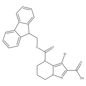 2567503-47-1结构式