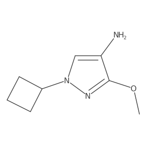 1-Cyclobutyl-3-methoxy-1H-pyrazol-4-amine结构式