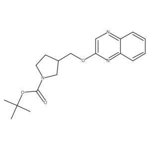 tert-Butyl 3-((quinoxalin-2-yloxy)methyl)pyrrolidine-1-carboxylate结构式