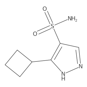 3-cyclobutyl-1H-pyrazole-4-sulfonamide Structure