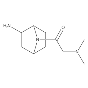 1-{2-Amino-7-azabicyclo[2.2.1]heptan-7-yl}-2-(dimethylamino)ethan-1-one结构式
