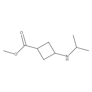Methyl 3-[(propan-2-yl)amino]cyclobutane-1-carboxylate Structure