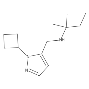 2137823-55-1 structure