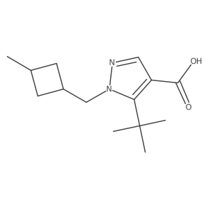 5-tert-butyl-1-[(3-methylcyclobutyl)methyl]-1H-pyrazole-4-carboxylic acid Structure
