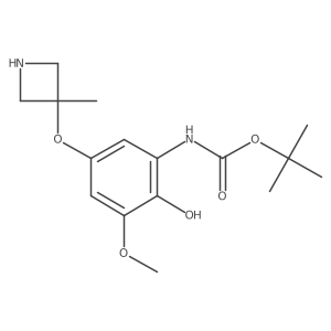 tert-butyl N-{2-hydroxy-3-methoxy-5-[(3-methylazetidin-3-yl)oxy]phenyl}carbamate Structure