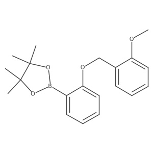2246564-81-6 structure