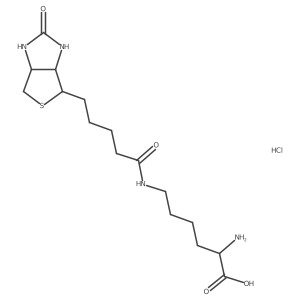 N6-(5-(2-Oxohexahydro-1H-thieno[3,4-d]imidazol-4-yl)pentanoyl)-L-lysine hydrochloride Structure