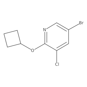 1289132-73-5 structure