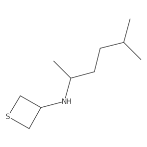 N-(5-Methylhexan-2-yl)thietan-3-amine结构式