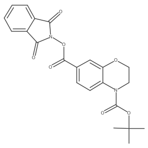 4-tert-butyl 7-(1,3-dioxo-2,3-dihydro-1H-isoindol-2-yl) 3,4-dihydro-2H-1,4-benzoxazine-4,7-dicarboxylate Structure
