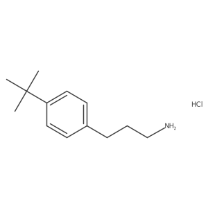 [3-(4-Tert-butylphenyl)propyl]amine hydrochloride Structure