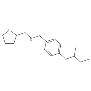 [4-(sec-Butoxy)phenyl]-N-(tetrahydro-2-furanylmethyl)methanamine Structure
