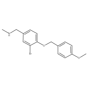 (4-(4-methoxybenzyloxy)-3-bromophenyl)-N-methylmethanamine结构式