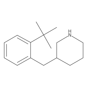 3-[(2-Tert-butylphenyl)methyl]piperidine结构式