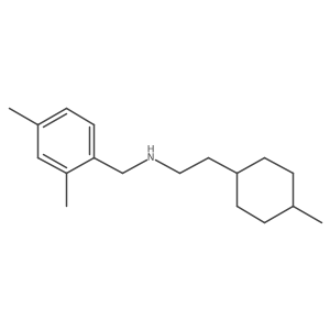 [(2,4-Dimethylphenyl)methyl][2-(4-methylcyclohexyl)ethyl]amine结构式