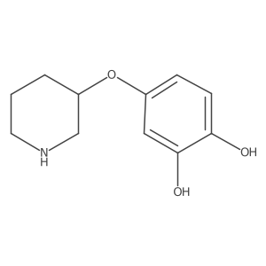 4-(Piperidin-3-yloxy)benzene-1,2-diol结构式