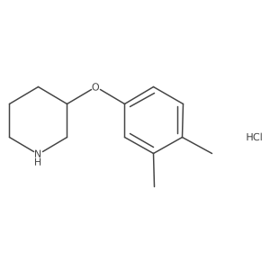 3-(3,4-Dimethylphenoxy)piperidine hydrochloride Structure