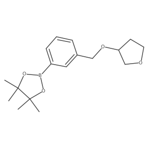 2468050-24-8 structure