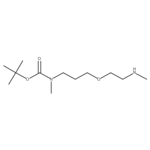 tert-butyl N-methyl-N-{3-[2-(methylamino)ethoxy]propyl}carbamate结构式