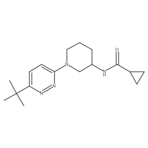 N-[1-(6-tert-butylpyridazin-3-yl)piperidin-3-yl]cyclopropanecarboxamide结构式