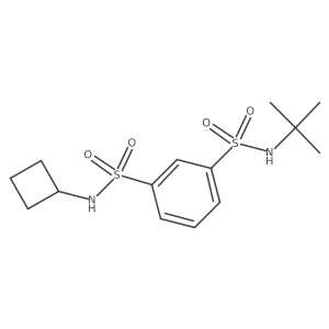 Benzene-1,3-disulfonic acid tert-butyl-amide cyclobutylamide Structure