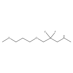 [2,2-Difluoro-3-(3-methoxypropoxy)propyl](methyl)amine Structure