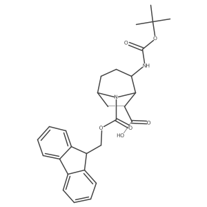 4-{[(tert-butoxy)carbonyl]amino}-8-{[(9H-fluoren-9-yl)methoxy]carbonyl}-8-azabicyclo[3.2.1]octane-6-carboxylic acid Structure
