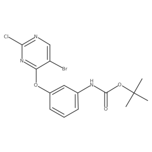 1246610-47-8 structure
