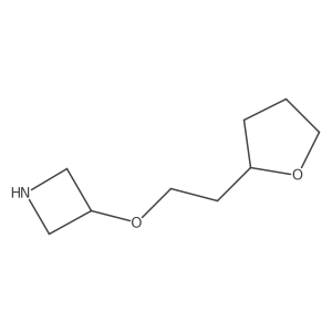 3-(2-(Tetrahydrofuran-2-yl)ethoxy)azetidine结构式