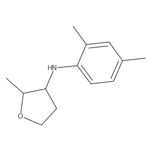 N-(2,4-Dimethylphenyl)-2-methyloxolan-3-amine Structure