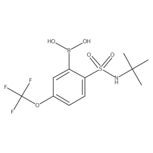 (2-(N-(tert-butyl)sulfamoyl)-5-(trifluoromethoxy)phenyl)boronic acid Structure