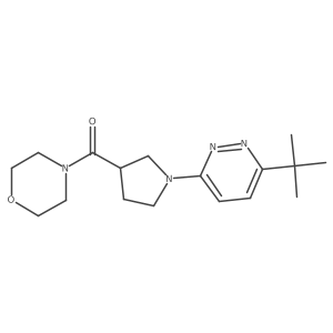 4-[1-(6-Tert-butylpyridazin-3-yl)pyrrolidine-3-carbonyl]morpholine Structure