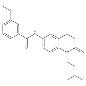 N-(1-isopentyl-2-oxo-1,2,3,4-tetrahydroquinolin-6-yl)-3-methoxybenzamide Structure