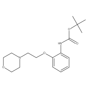 tert-butyl N-[2-(2-morpholin-4-ylethoxy)phenyl]carbamate结构式